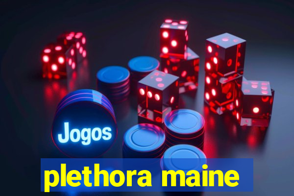 plethora maine